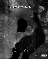 won't fall cover art